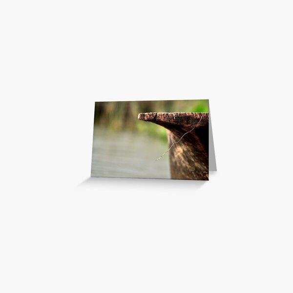 Item preview, Canoe designed and sold by yaana.