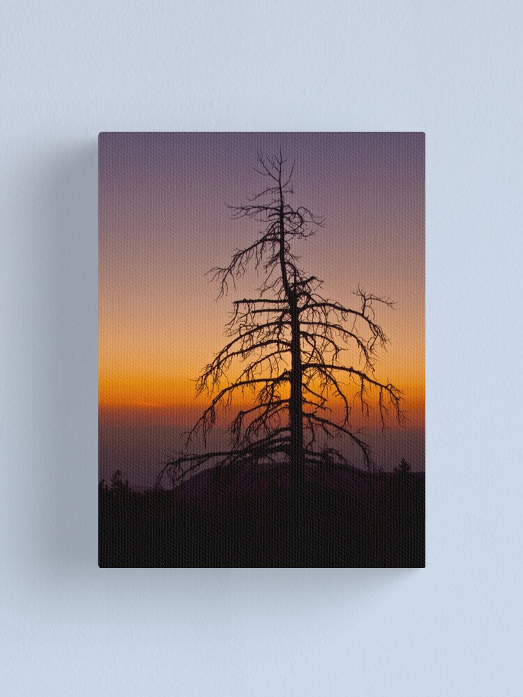 Alternate view of Fractal silhouette Canvas Print
