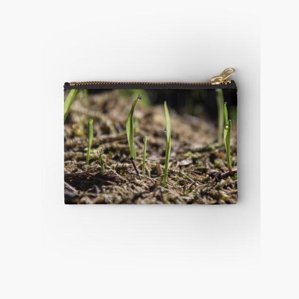 Item preview, First shoots After first sprinkle of rain 20150429 1802 designed and sold by Fred Mitchell.