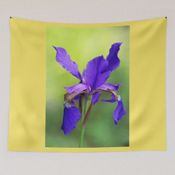 Item preview, Beauty Of Siberian Iris I designed and sold by Deb Oppermann.