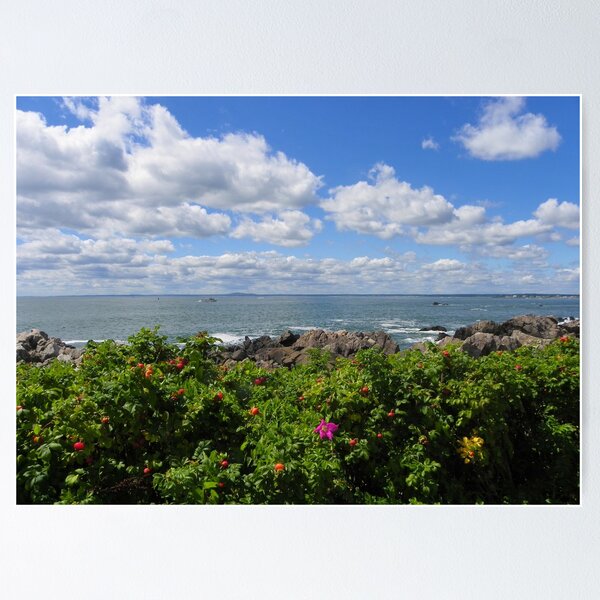 Item preview, Looking Out to Sea designed and sold by MaryinMaine.