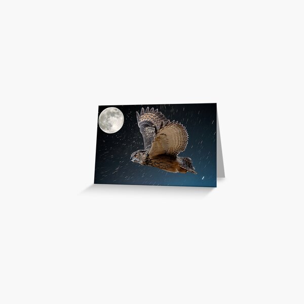 Eagle owl and the stars Greeting Card