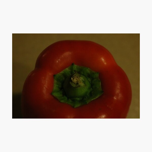 Red Pepper Still Life Photographic Print