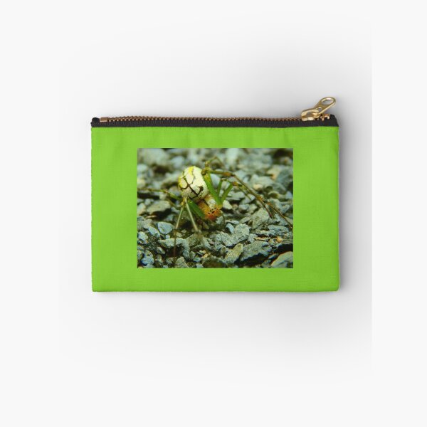 Item preview, Little Spider designed and sold by Ashley Gagnon.