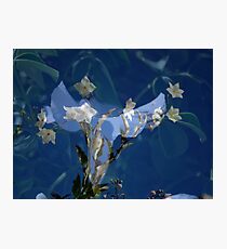 My Cup Runs Over with Love Photographic Print