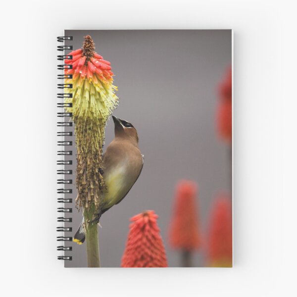Item preview, Waxwing 1b designed and sold by jklune.