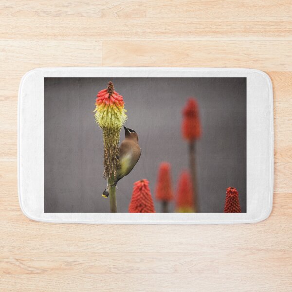 Item preview, Waxwing 1b designed and sold by jklune.