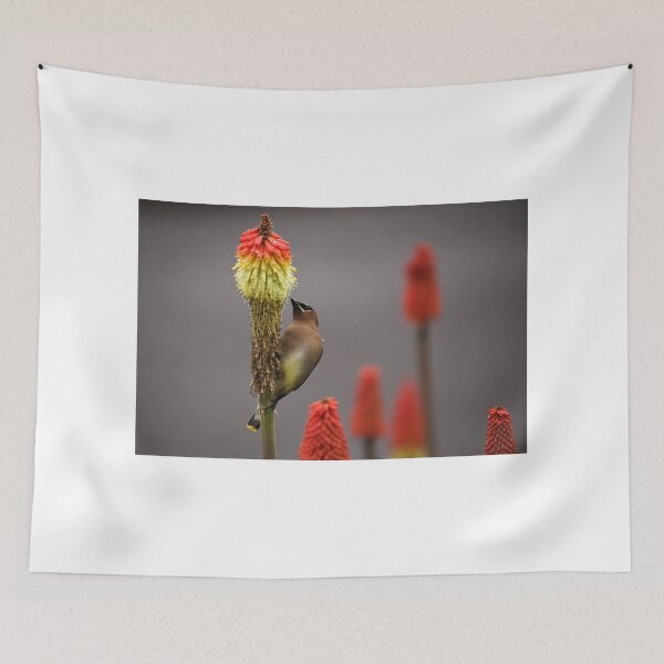 Item preview, Waxwing 1b designed and sold by jklune.
