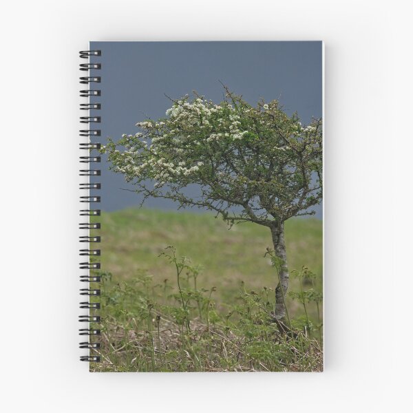 Item preview, Miniature Single Tree designed and sold by rawshutterbug.