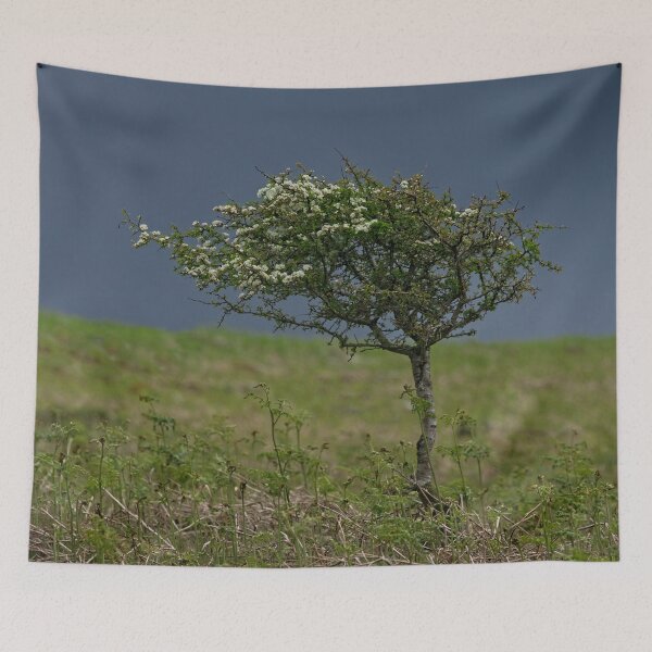 Item preview, Miniature Single Tree designed and sold by rawshutterbug.