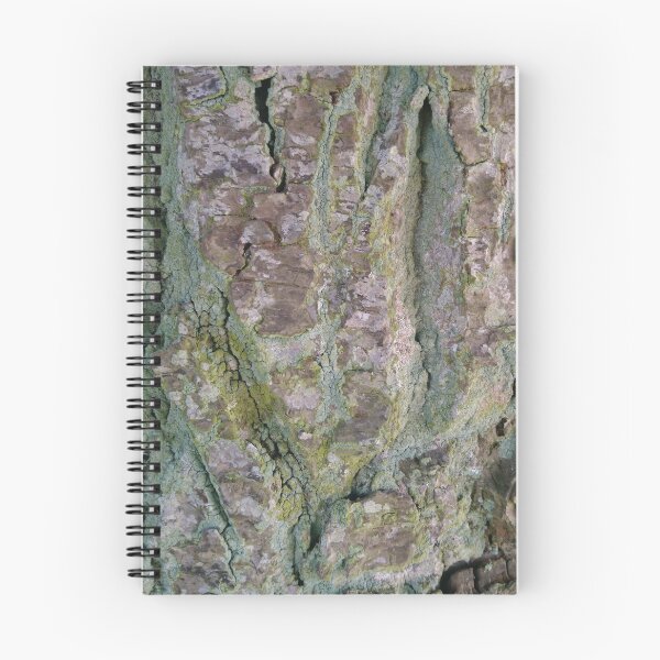 Item preview, Tree bark texture 3 designed and sold by LittleBettyMakes.