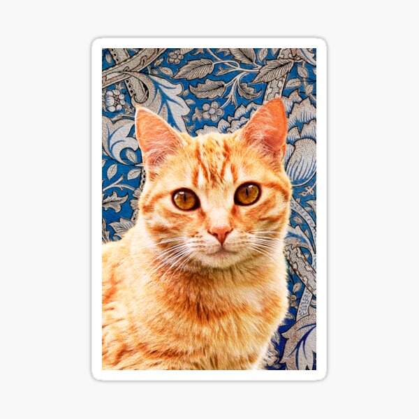 Morris - Ginger Sticker