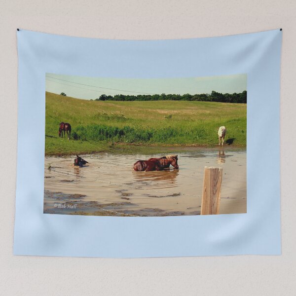 Item preview, "'Bill, hey, Bill, check out Sam, behind us. I think he's lost it. Watcha think?'," Photo, for prints and products  designed and sold by Bob Hall©.