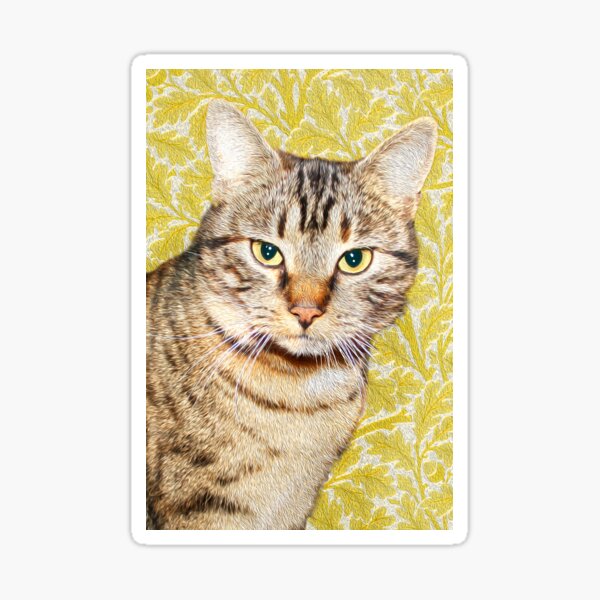 Morris - Yellow - The Chouchoukes Sticker