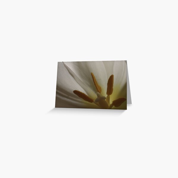 Inside the Tulip (1) Greeting Card