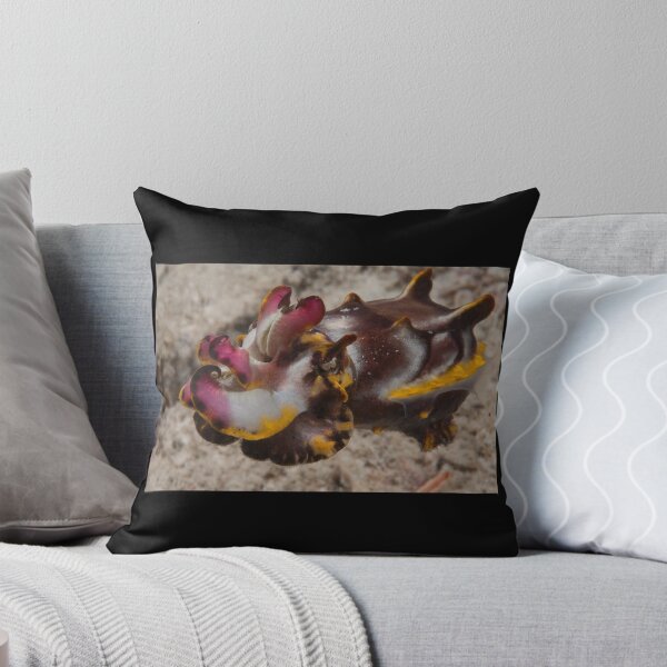 Item preview, Flamboyant Cuttlefish, Kapalai, Sabah, Malaysia designed and sold by Erik Schlogl.