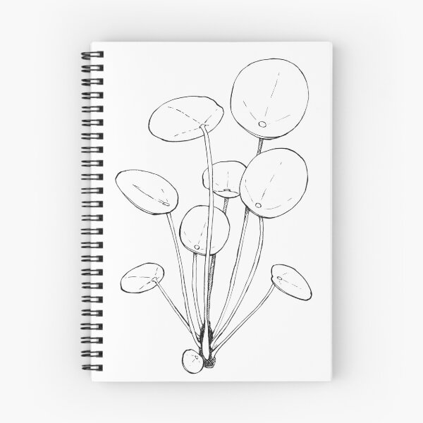 Item preview, Pilea Peperomioides - Lineart - Watercolour Plant Illustration designed and sold by Pattokarts.
