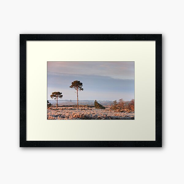 Pretty in pink Framed Art Print