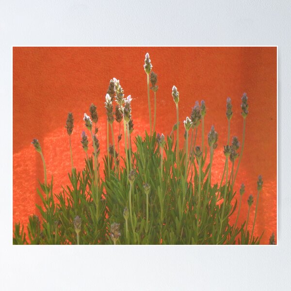 Item preview, lavender (the visitor) designed and sold by marella.
