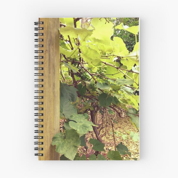 Item preview, Grapevine designed and sold by ErinLP.
