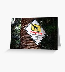 Warning Dinosaurs! Greeting Card