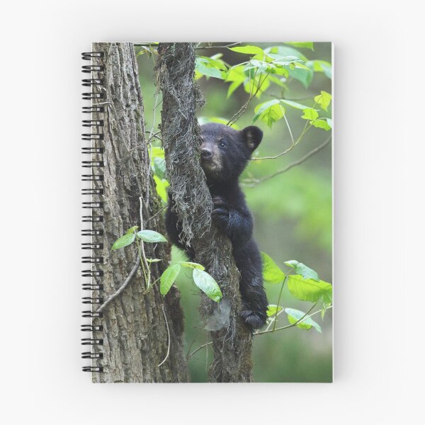 Item preview, Black Bear Cub designed and sold by WorldDesign.