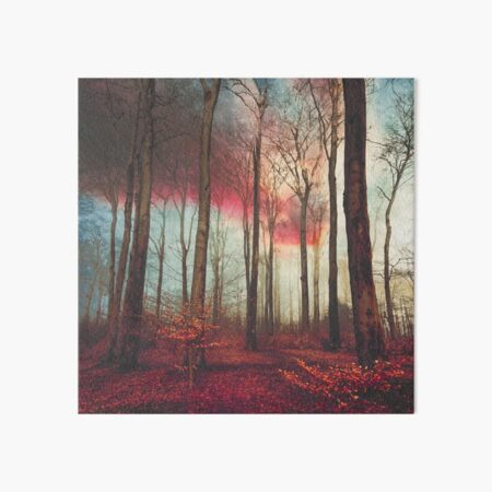 Ruby Red Evening Art Board Print