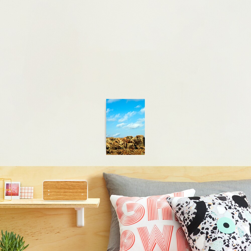 Item preview, Photographic Print designed and sold by dcdigital.