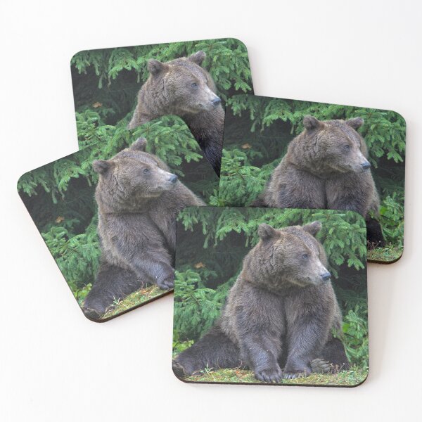 Item preview, Wild Bear designed and sold by Yair Karelic.