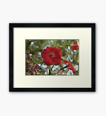 Lámina enmarcada pétalos grandes flor de petunia roja