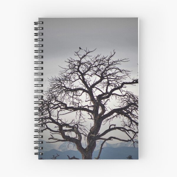 Item preview, Tree in Winter with Snowy Rocky Mountains and Bird designed and sold by picadillyprints.