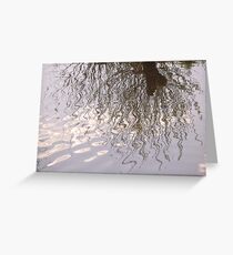 Willow Reflection Greeting Card