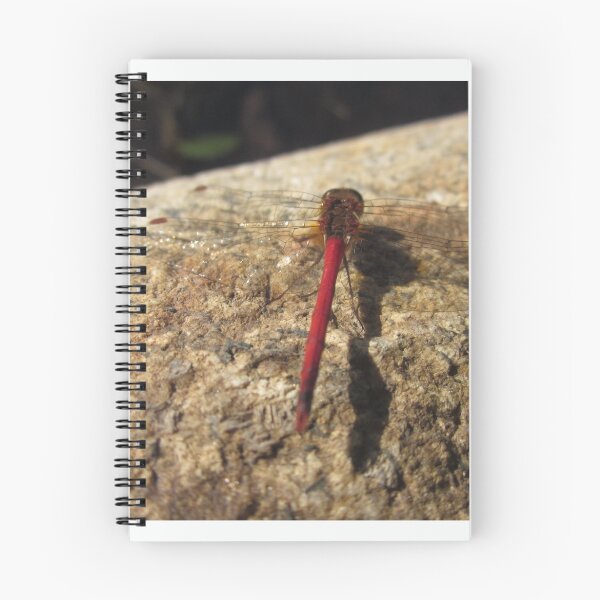 Item preview, Red Dragonfly designed and sold by LizardSpirit.