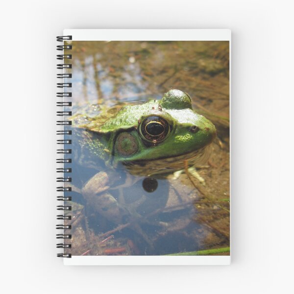 Item preview, Frog Face designed and sold by LizardSpirit.