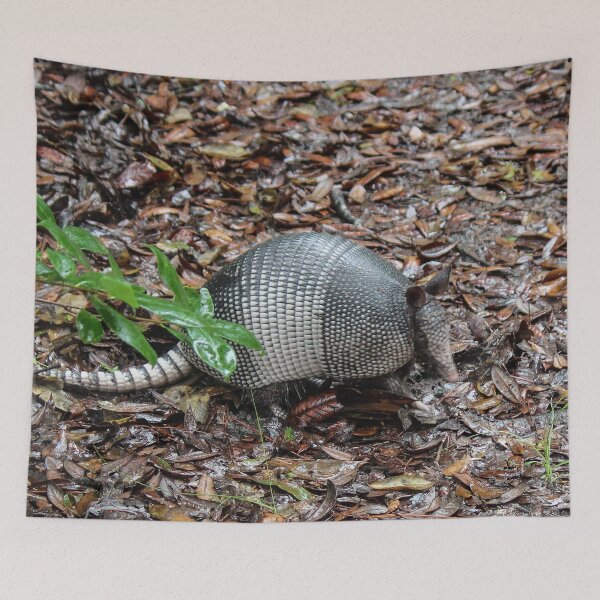 Item preview, Armadillo designed and sold by Bob Hardy.