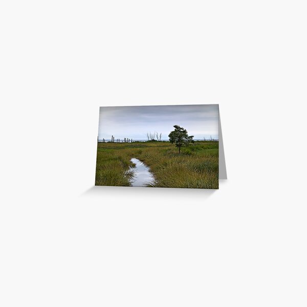 The Marsh Greeting Card