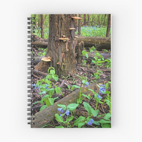 Item preview, Blue Bell Woodlands 2 designed and sold by LynyrdSky.