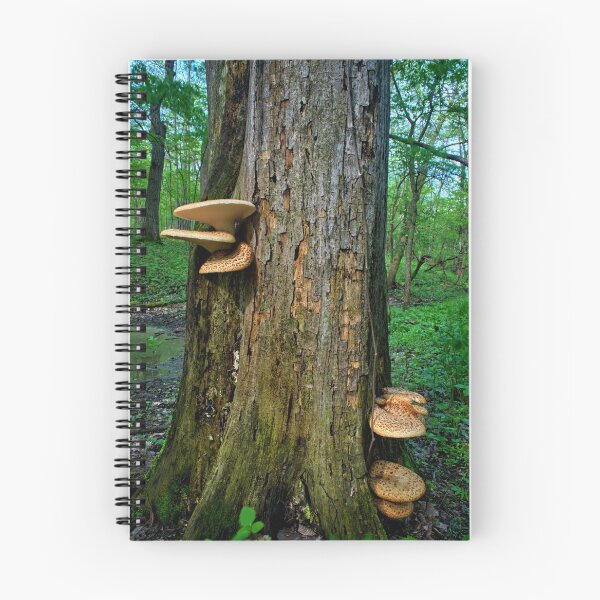 Item preview, In The Woods designed and sold by LynyrdSky.