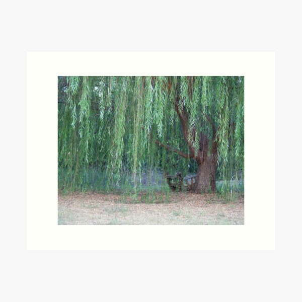 Item preview, Weeping Willow designed and sold by TxGimGim.