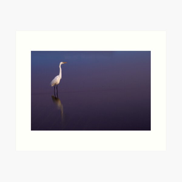 White on blue Art Print