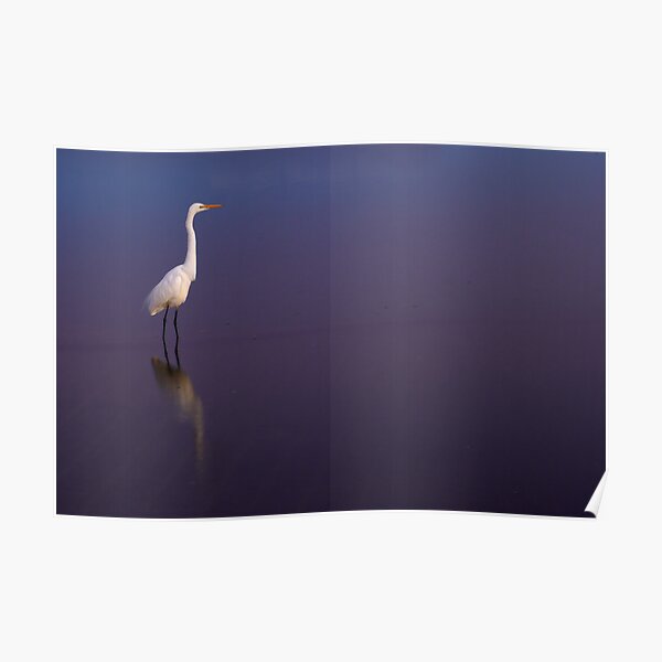 White on blue Poster
