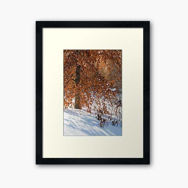 Even in Winter Framed Art Print
