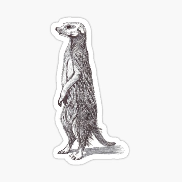 Meerkat Meerkat Sticker