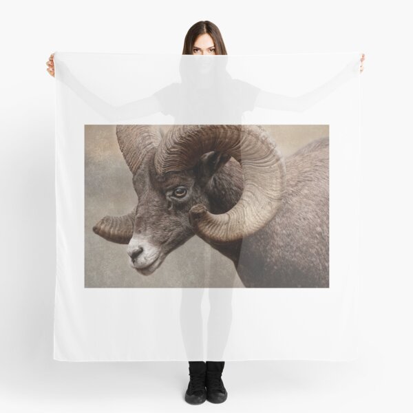 Item preview, Rocky Mountain Bighorn designed and sold by WesDotPhotography.