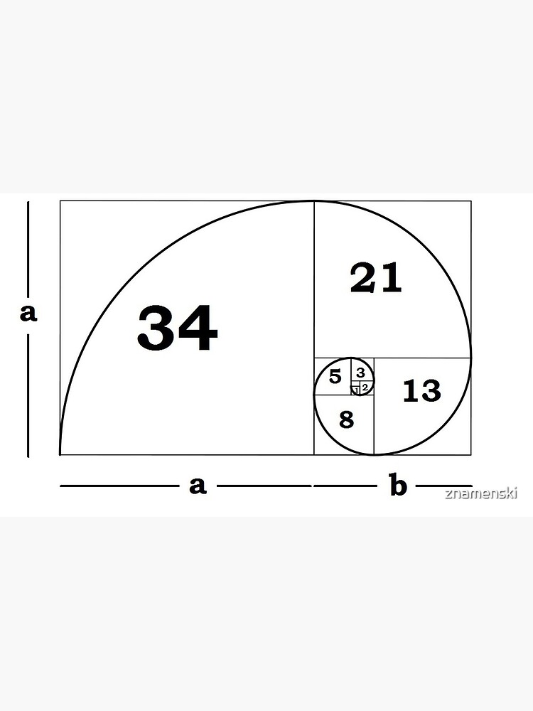 #Golden #Ratio #GoldenRatio #Design Ideas Fibonacci Spiral = 1.6180339887498948420 by znamenski