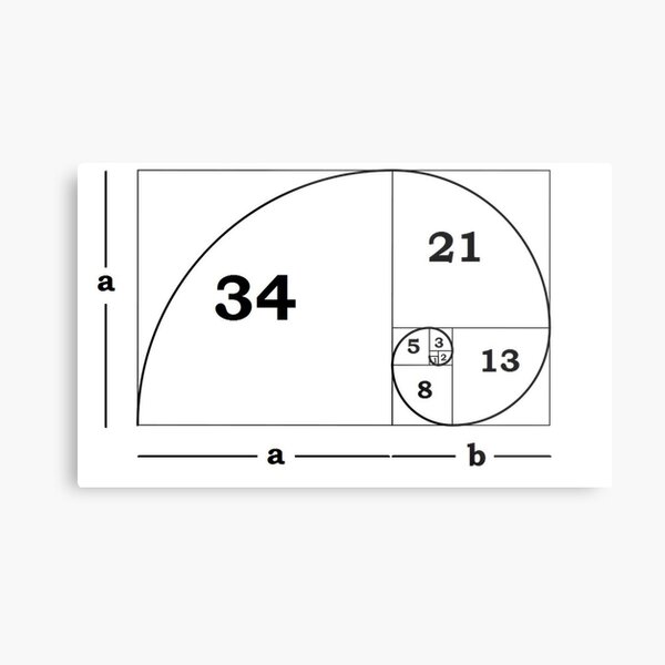 #Golden #Ratio #GoldenRatio #Design Ideas Fibonacci Spiral = 1.6180339887498948420 Metal Print