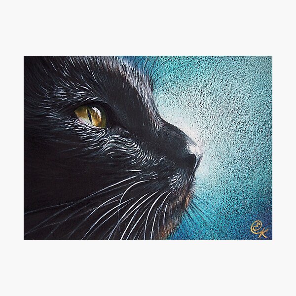 Thoughtful Cat Photographic Print