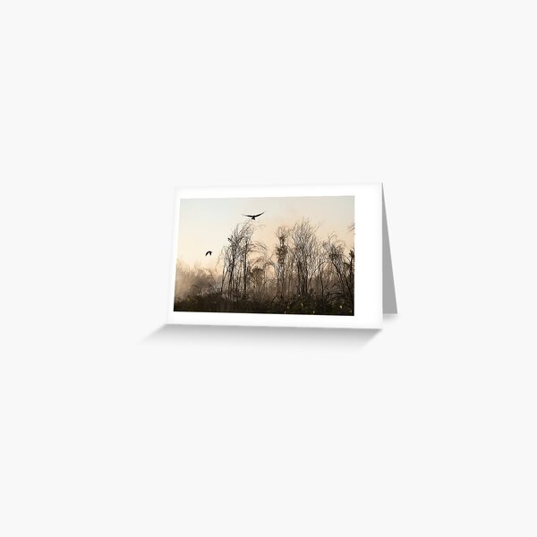 Fitzroy Crossing 2 Greeting Card