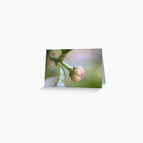 Spotted bud. Greeting Card