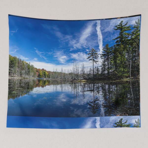 Item preview, The Beaver Pond designed and sold by ShootFirstNYC.